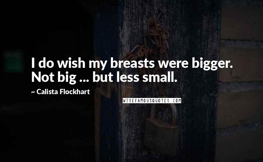 Calista Flockhart Quotes: I do wish my breasts were bigger. Not big ... but less small.