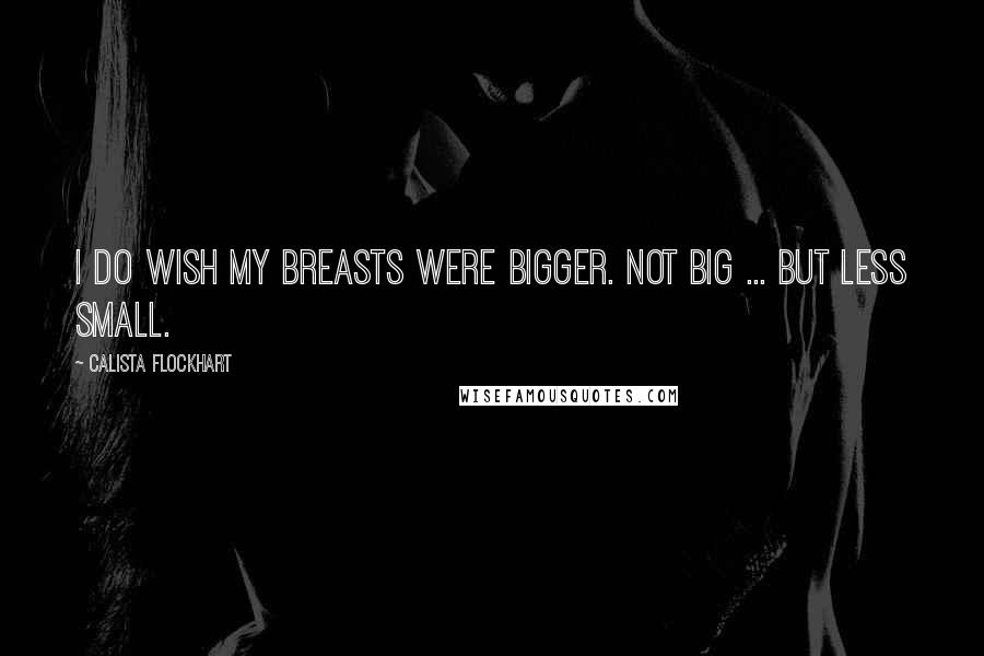 Calista Flockhart Quotes: I do wish my breasts were bigger. Not big ... but less small.