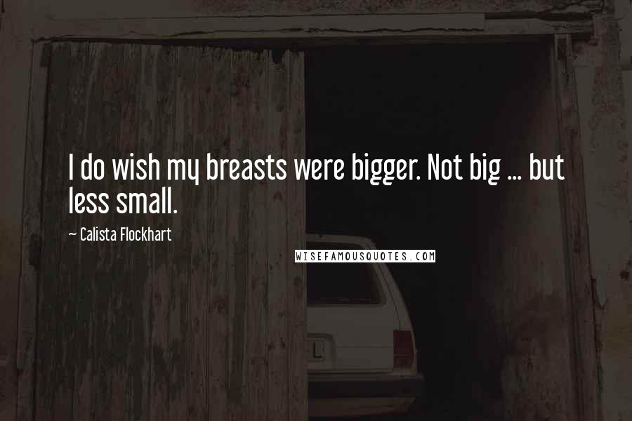 Calista Flockhart Quotes: I do wish my breasts were bigger. Not big ... but less small.