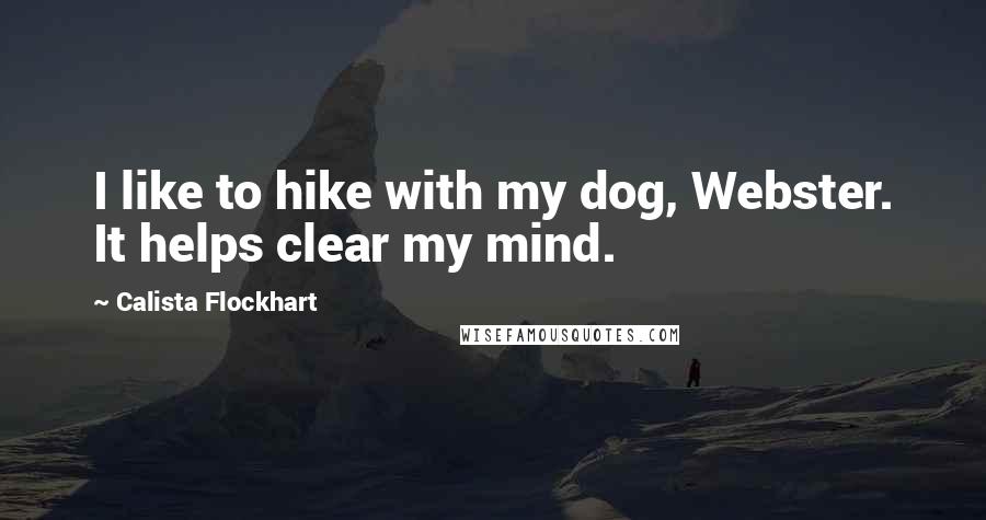 Calista Flockhart Quotes: I like to hike with my dog, Webster. It helps clear my mind.