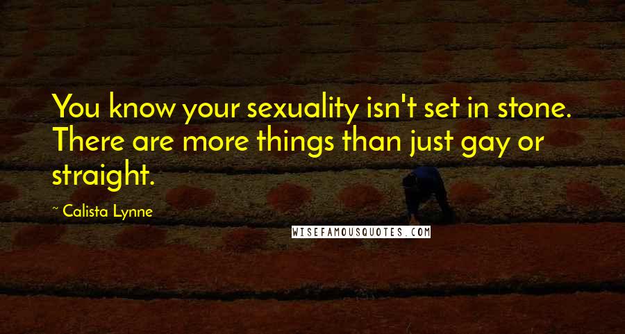 Calista Lynne Quotes: You know your sexuality isn't set in stone. There are more things than just gay or straight.