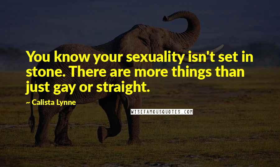 Calista Lynne Quotes: You know your sexuality isn't set in stone. There are more things than just gay or straight.