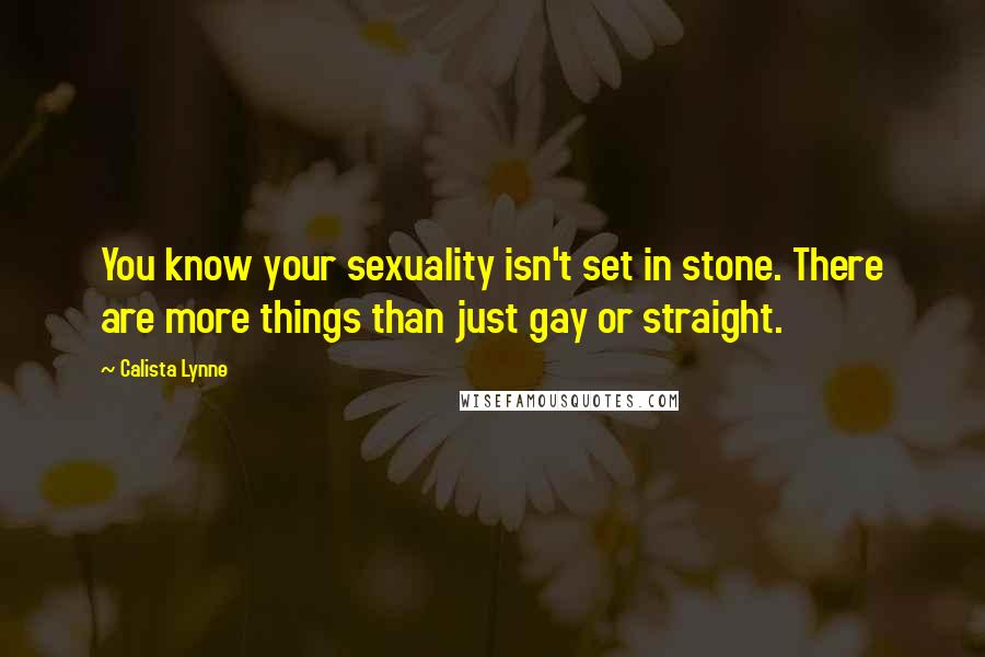 Calista Lynne Quotes: You know your sexuality isn't set in stone. There are more things than just gay or straight.