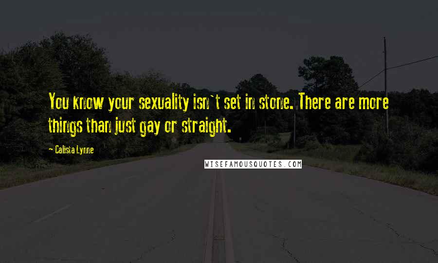 Calista Lynne Quotes: You know your sexuality isn't set in stone. There are more things than just gay or straight.