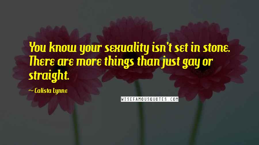 Calista Lynne Quotes: You know your sexuality isn't set in stone. There are more things than just gay or straight.