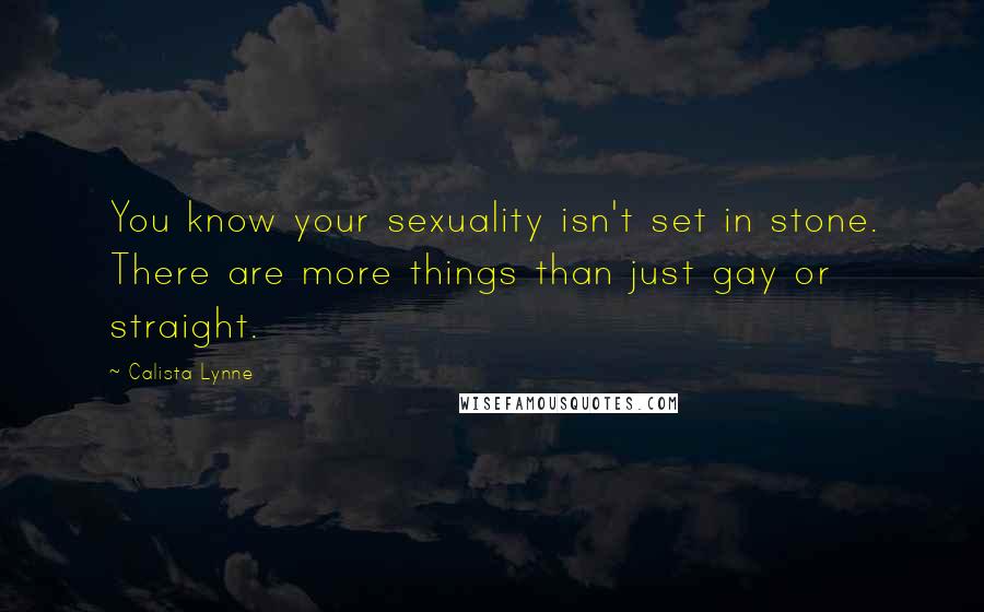 Calista Lynne Quotes: You know your sexuality isn't set in stone. There are more things than just gay or straight.