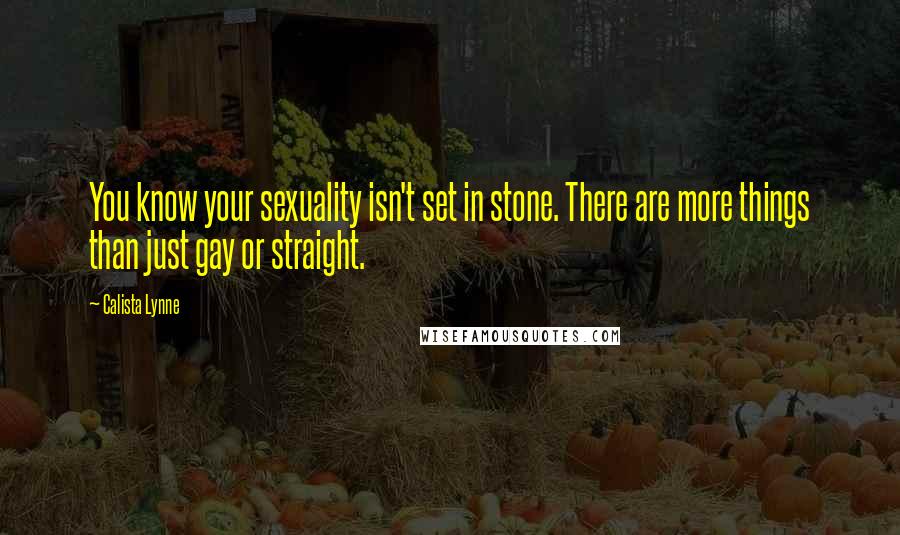 Calista Lynne Quotes: You know your sexuality isn't set in stone. There are more things than just gay or straight.