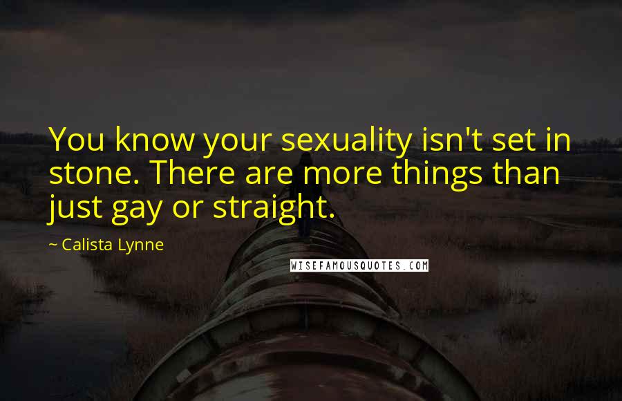 Calista Lynne Quotes: You know your sexuality isn't set in stone. There are more things than just gay or straight.