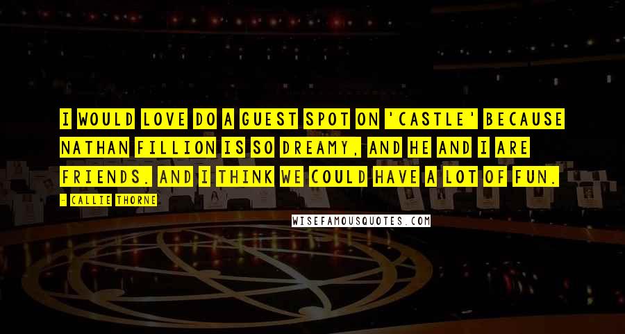 Callie Thorne Quotes: I would love do a guest spot on 'Castle' because Nathan Fillion is so dreamy, and he and I are friends. And I think we could have a lot of fun.