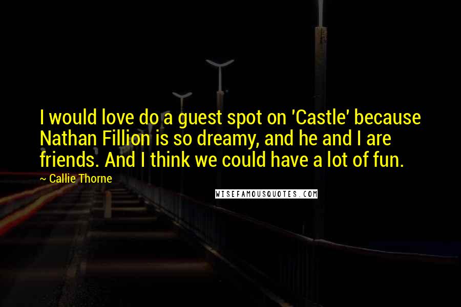 Callie Thorne Quotes: I would love do a guest spot on 'Castle' because Nathan Fillion is so dreamy, and he and I are friends. And I think we could have a lot of fun.