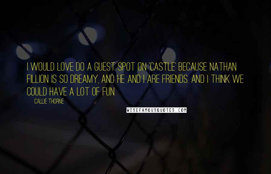 Callie Thorne Quotes: I would love do a guest spot on 'Castle' because Nathan Fillion is so dreamy, and he and I are friends. And I think we could have a lot of fun.