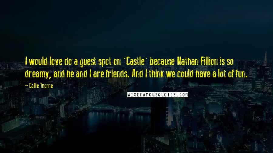 Callie Thorne Quotes: I would love do a guest spot on 'Castle' because Nathan Fillion is so dreamy, and he and I are friends. And I think we could have a lot of fun.