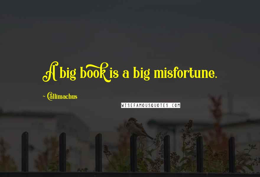 Callimachus Quotes: A big book is a big misfortune.