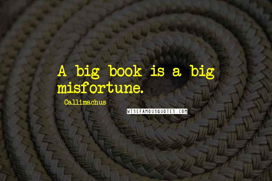 Callimachus Quotes: A big book is a big misfortune.