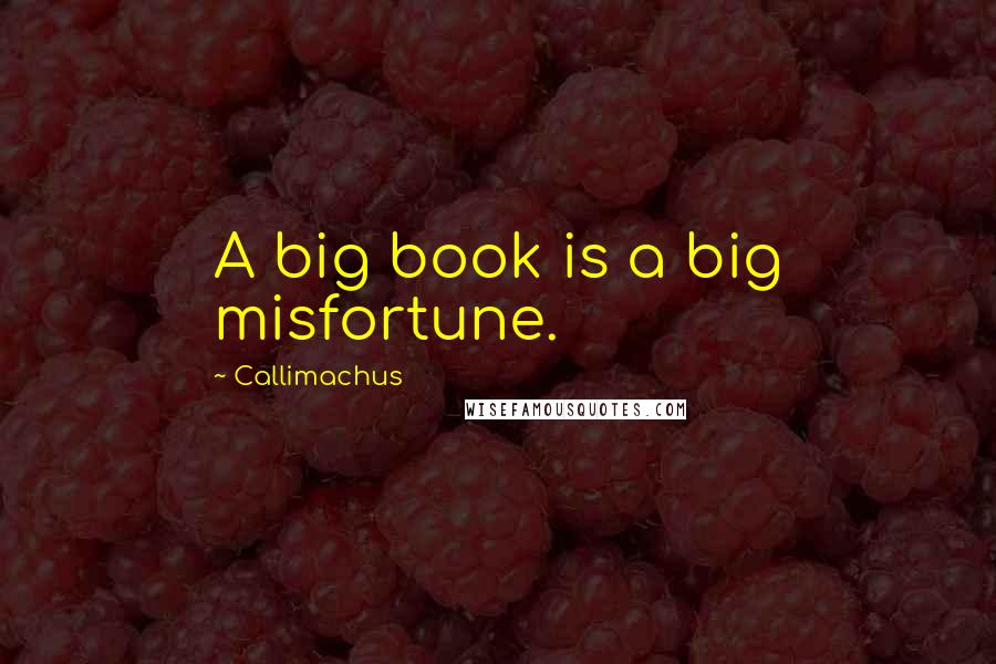 Callimachus Quotes: A big book is a big misfortune.