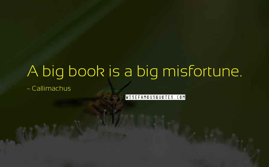 Callimachus Quotes: A big book is a big misfortune.