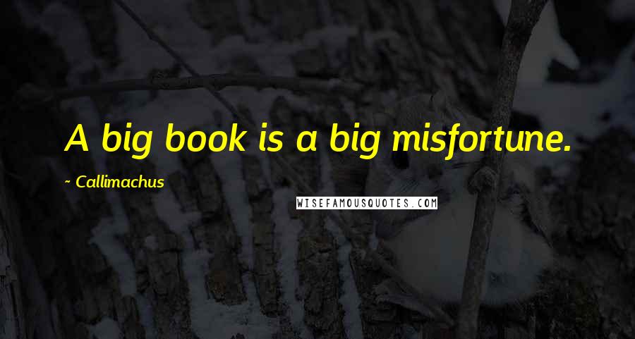 Callimachus Quotes: A big book is a big misfortune.