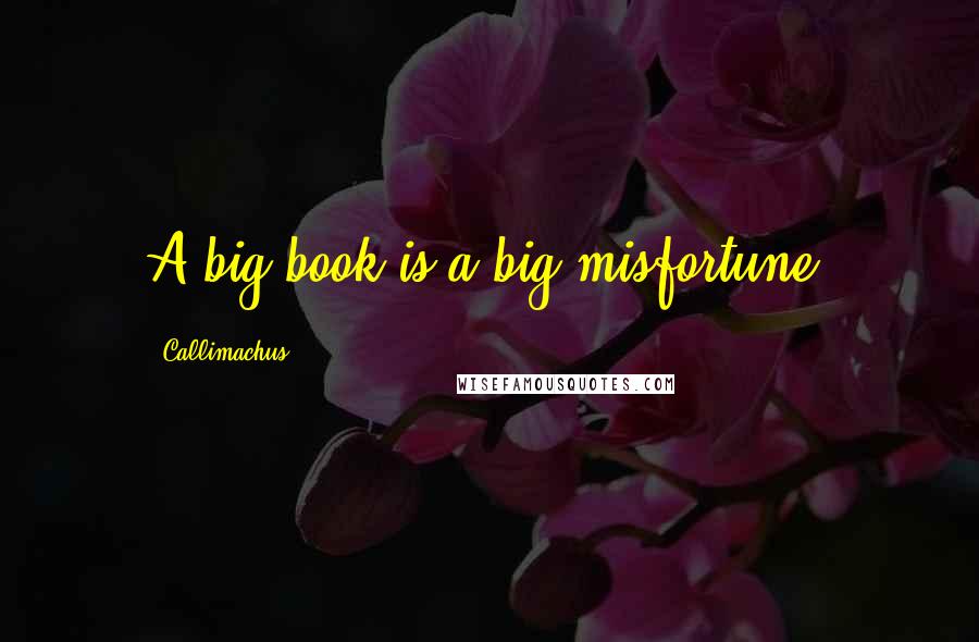 Callimachus Quotes: A big book is a big misfortune.