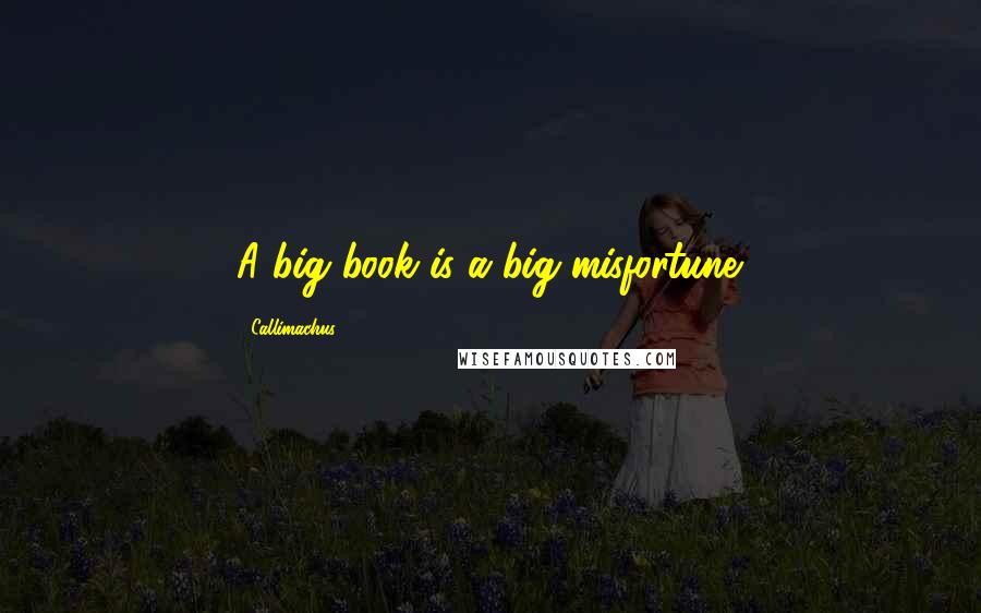 Callimachus Quotes: A big book is a big misfortune.