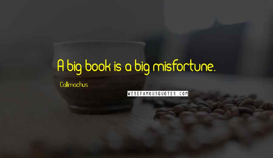 Callimachus Quotes: A big book is a big misfortune.