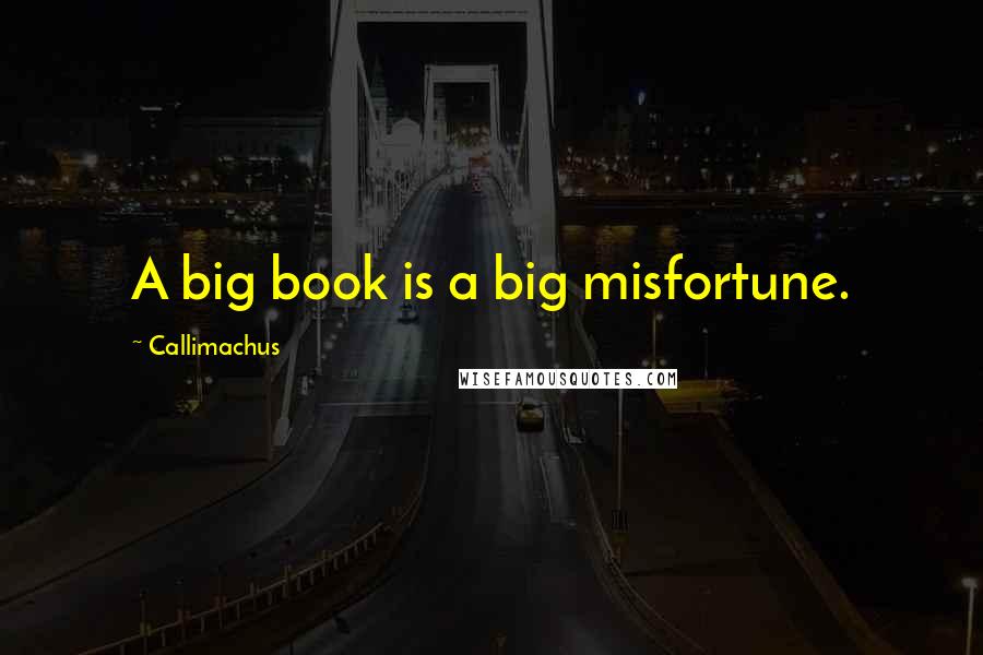 Callimachus Quotes: A big book is a big misfortune.