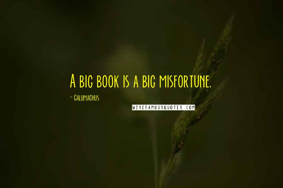 Callimachus Quotes: A big book is a big misfortune.