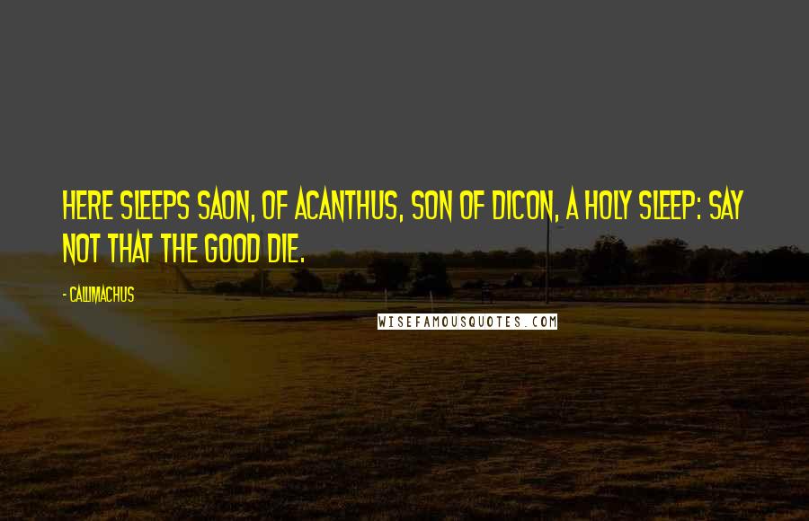 Callimachus Quotes: Here sleeps Saon, of Acanthus, son of Dicon, a holy sleep: say not that the good die.