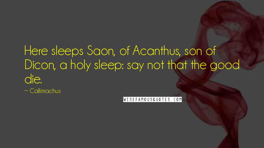 Callimachus Quotes: Here sleeps Saon, of Acanthus, son of Dicon, a holy sleep: say not that the good die.