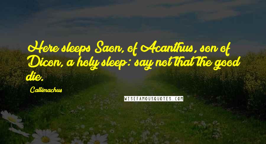 Callimachus Quotes: Here sleeps Saon, of Acanthus, son of Dicon, a holy sleep: say not that the good die.