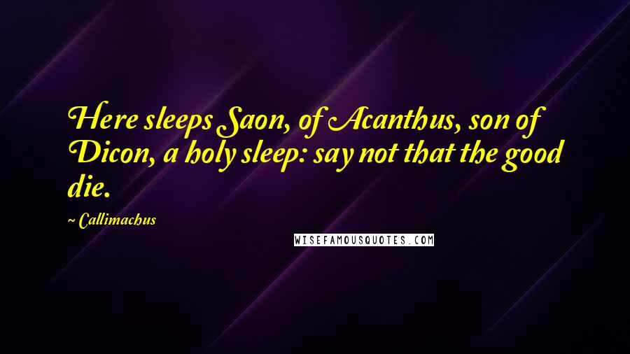 Callimachus Quotes: Here sleeps Saon, of Acanthus, son of Dicon, a holy sleep: say not that the good die.