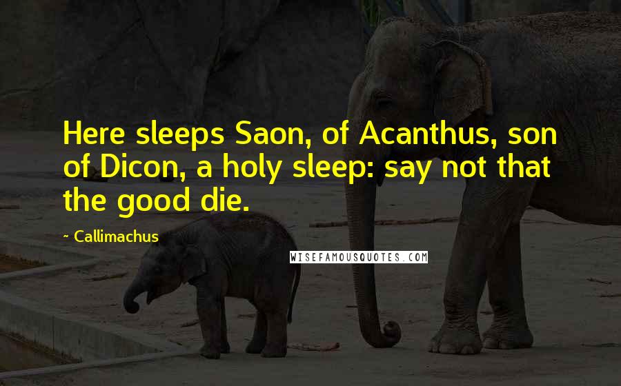 Callimachus Quotes: Here sleeps Saon, of Acanthus, son of Dicon, a holy sleep: say not that the good die.