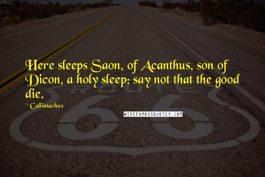 Callimachus Quotes: Here sleeps Saon, of Acanthus, son of Dicon, a holy sleep: say not that the good die.