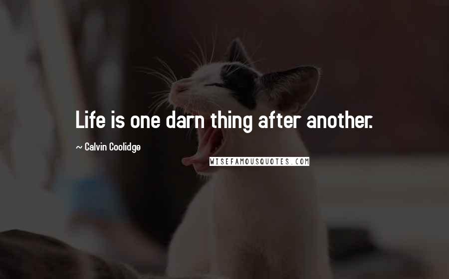 Calvin Coolidge Quotes: Life is one darn thing after another.