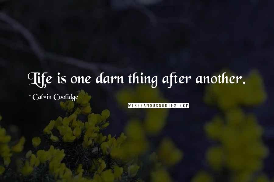 Calvin Coolidge Quotes: Life is one darn thing after another.