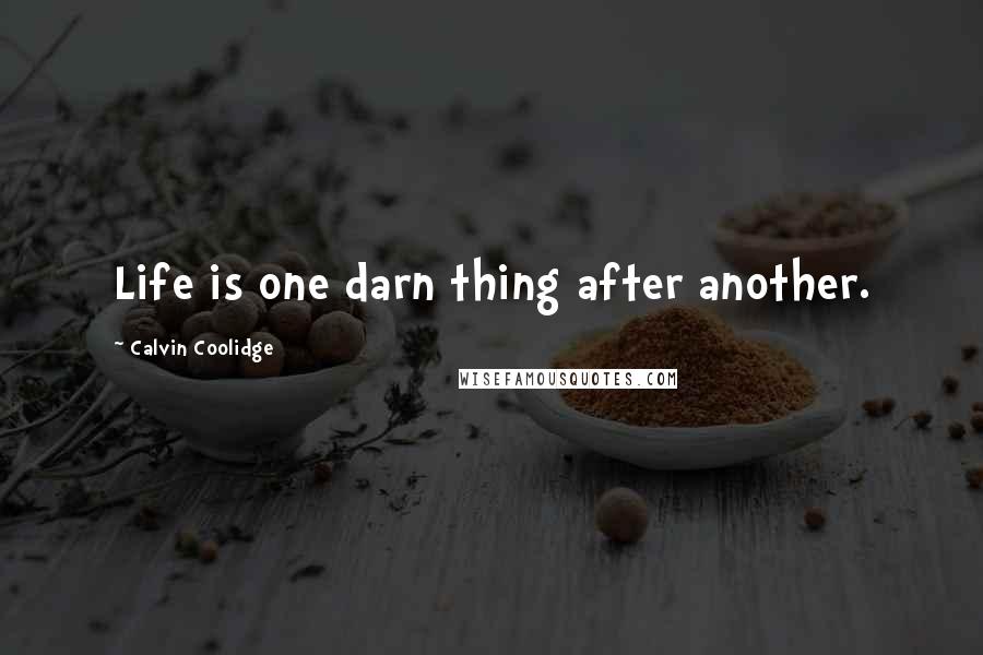 Calvin Coolidge Quotes: Life is one darn thing after another.