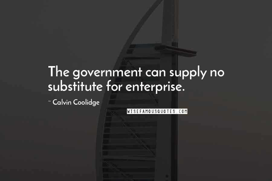 Calvin Coolidge Quotes: The government can supply no substitute for enterprise.