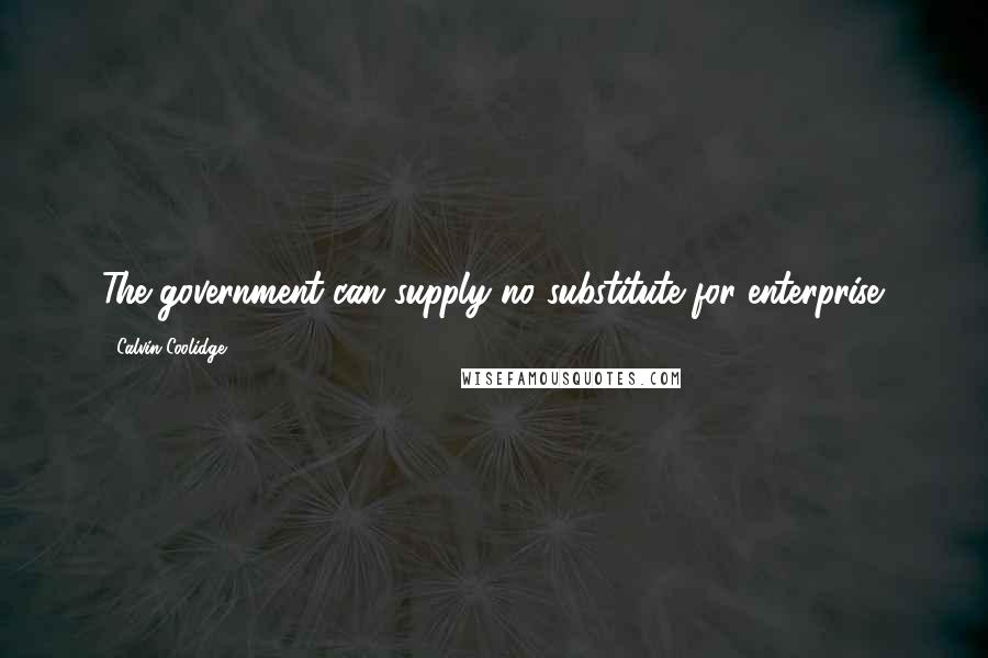 Calvin Coolidge Quotes: The government can supply no substitute for enterprise.