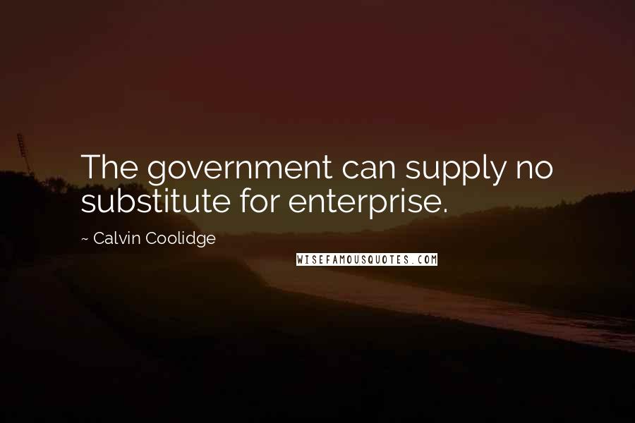 Calvin Coolidge Quotes: The government can supply no substitute for enterprise.