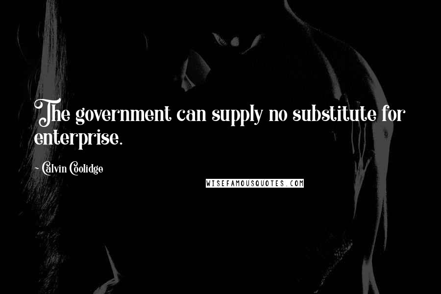 Calvin Coolidge Quotes: The government can supply no substitute for enterprise.