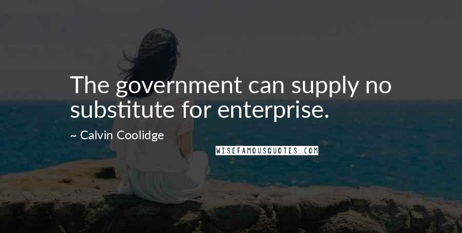 Calvin Coolidge Quotes: The government can supply no substitute for enterprise.