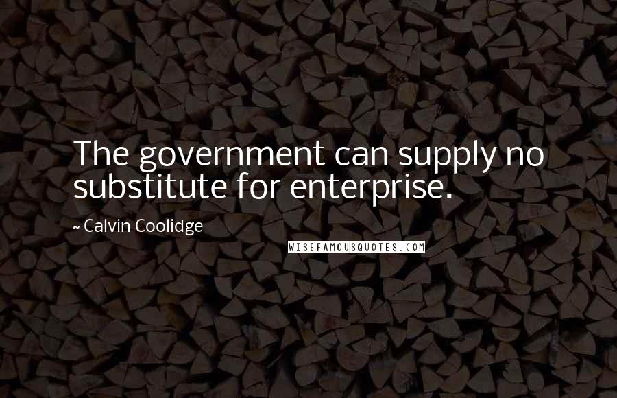 Calvin Coolidge Quotes: The government can supply no substitute for enterprise.