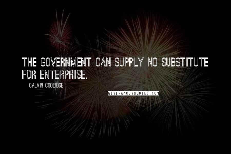 Calvin Coolidge Quotes: The government can supply no substitute for enterprise.