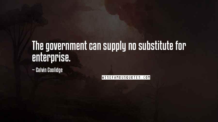 Calvin Coolidge Quotes: The government can supply no substitute for enterprise.