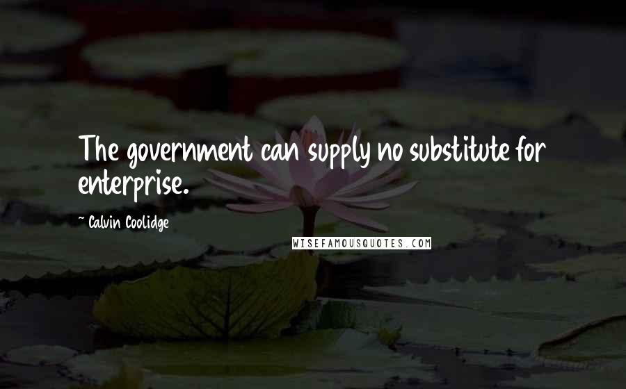 Calvin Coolidge Quotes: The government can supply no substitute for enterprise.