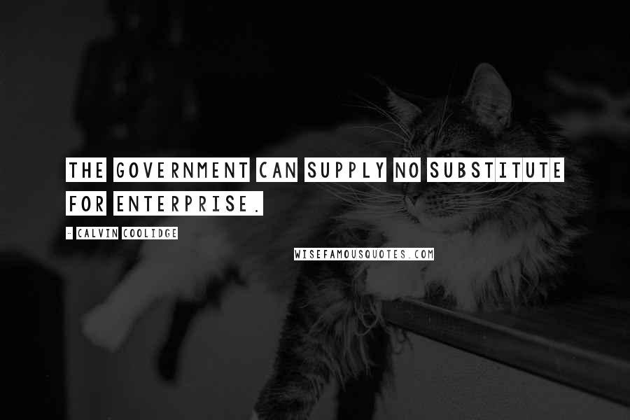 Calvin Coolidge Quotes: The government can supply no substitute for enterprise.