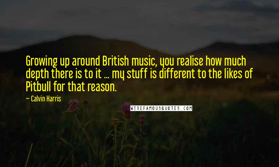 Calvin Harris Quotes: Growing up around British music, you realise how much depth there is to it ... my stuff is different to the likes of Pitbull for that reason.