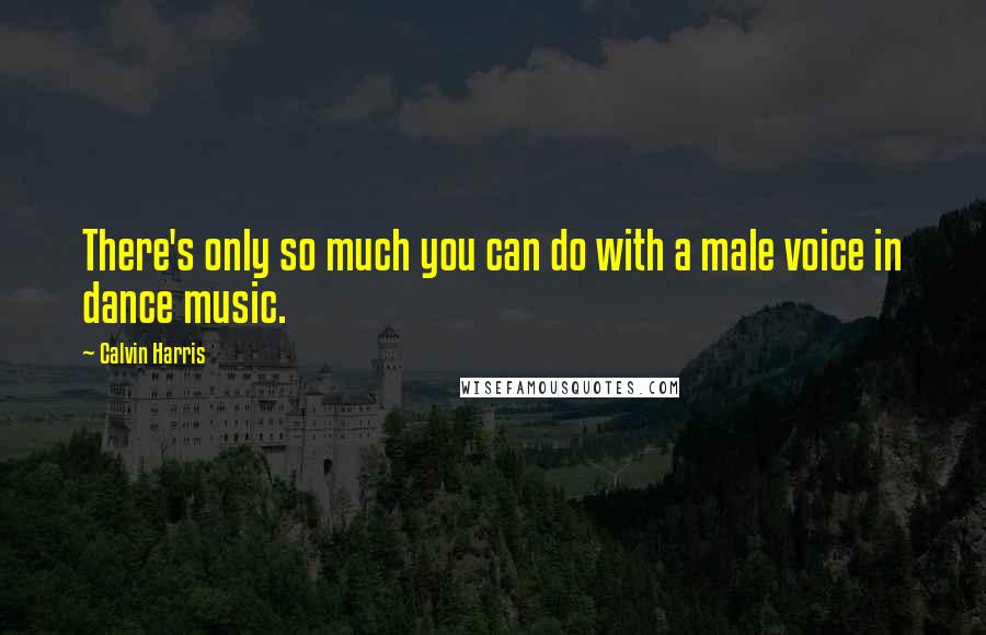 Calvin Harris Quotes: There's only so much you can do with a male voice in dance music.
