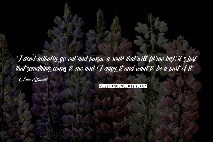 Cam Gigandet Quotes: I don't actually go out and pursue a route that will fit me best, it's just that something comes to me and I enjoy it and want to be a part of it.