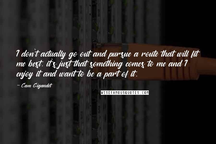 Cam Gigandet Quotes: I don't actually go out and pursue a route that will fit me best, it's just that something comes to me and I enjoy it and want to be a part of it.