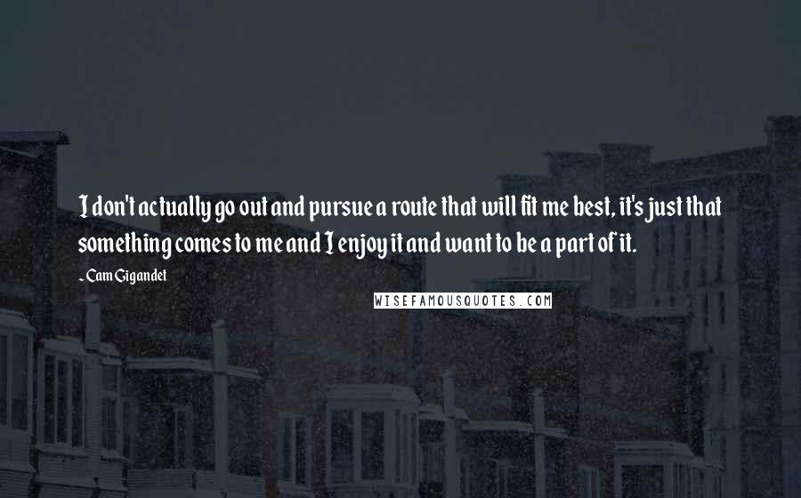 Cam Gigandet Quotes: I don't actually go out and pursue a route that will fit me best, it's just that something comes to me and I enjoy it and want to be a part of it.